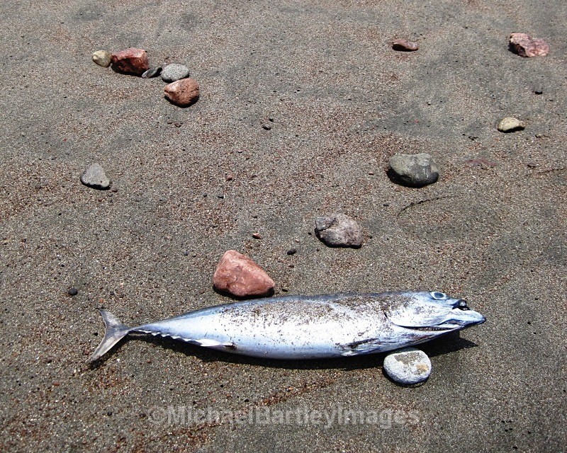 Washed Up - Cool Shots