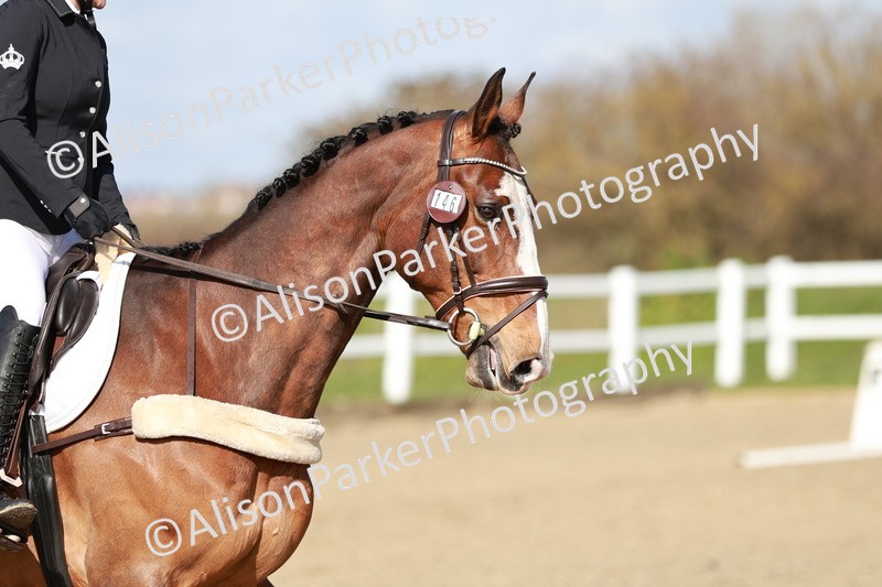 20260314-2902 - DR3 - Prelim 1