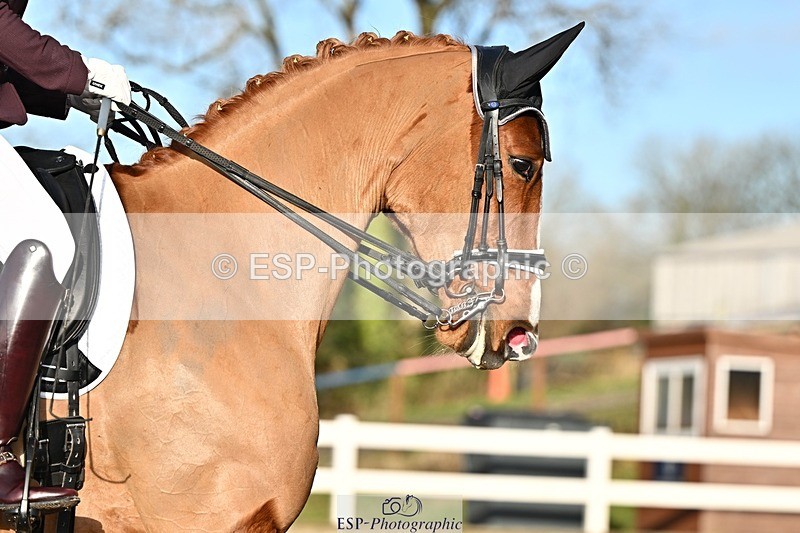 241214-134207-02546 - 112-kelly.jewell-Avalon