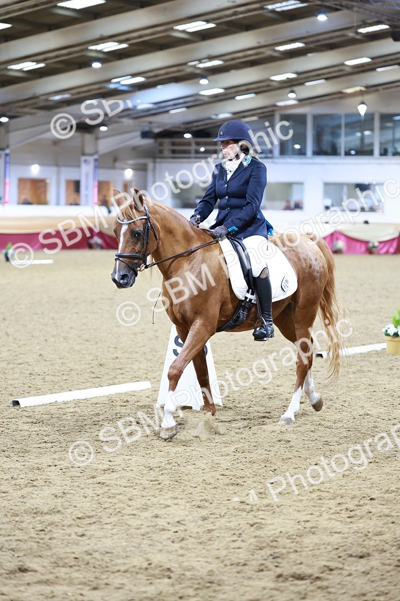 SBM_09361 - Class 61 - Dressage to Music