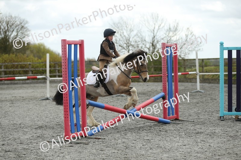 20260412-0638 - Show Jumping
