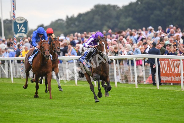 230823-Race 3-Continuous-0447 - Race 3 3.00pm Sky Bet Great Voltigeur Stakes