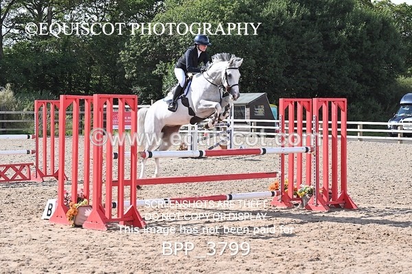 BPP_3799 - CLASS 43 SUN Senior Newcomers/ 1.10m Open