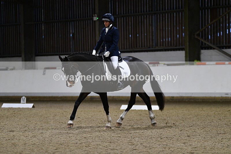 WJ5_8638 - Class 5 Novice Test 3