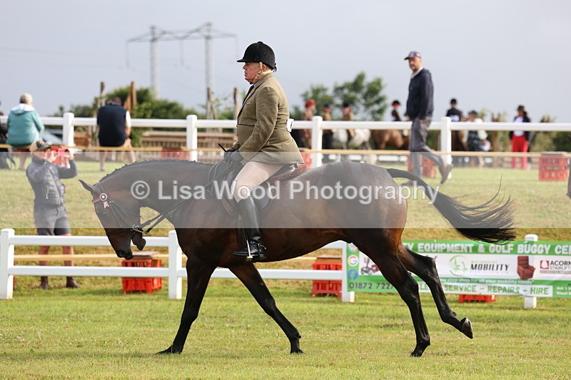 3E7A8105 - Class 2: Rising Star Large Hack/Riding Horse