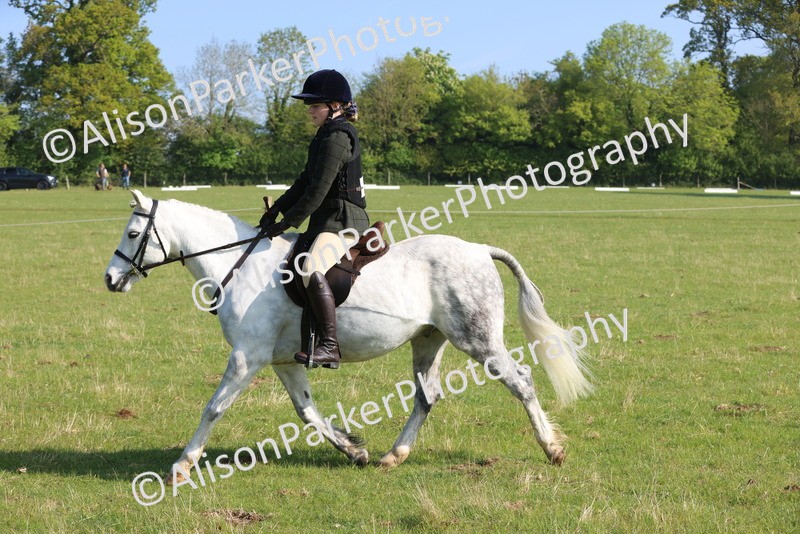 20250427-0529 - Class 17 - Novice Showing