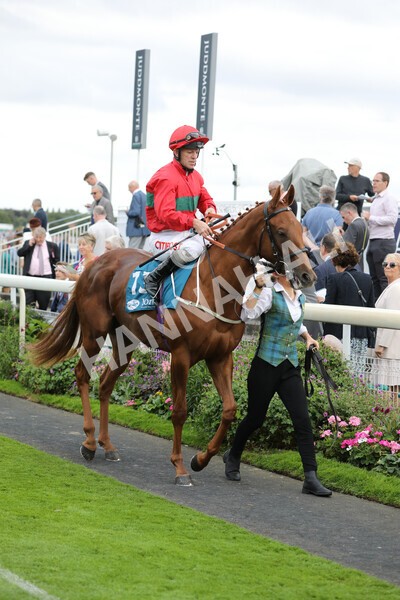 yr17082022r7-14 - Race 7 5.20pm Sky Bet Nursery Handicap