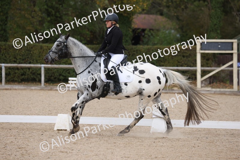20261010-0712 - Class 6 - Novice 2