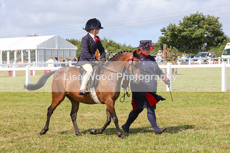 1X9A3703 - Class 29: Lead Rein SP/SHP