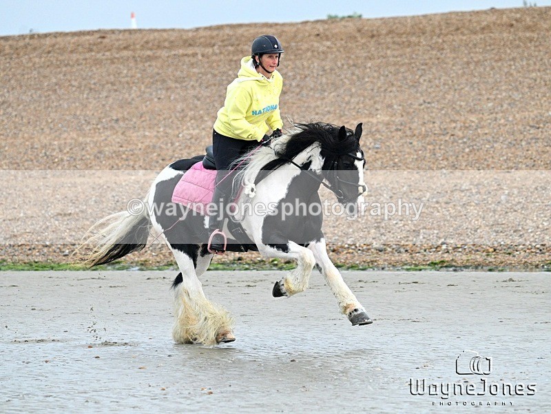 WJ7_9426 - Hayling Island Beach Shoot 22-09-24