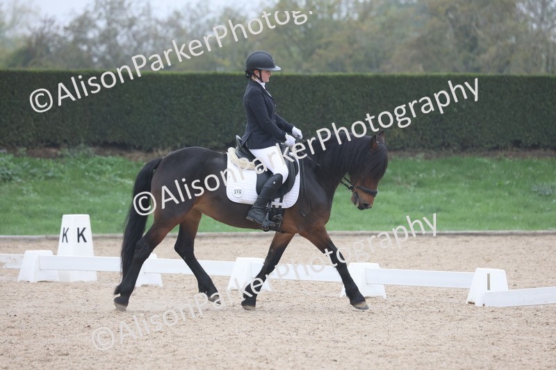 20251012-0517 - Class 4 - Novice 6