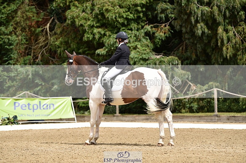 140110A-031110-11195 - 070-Deborah.Randall-Kindred.Spirit