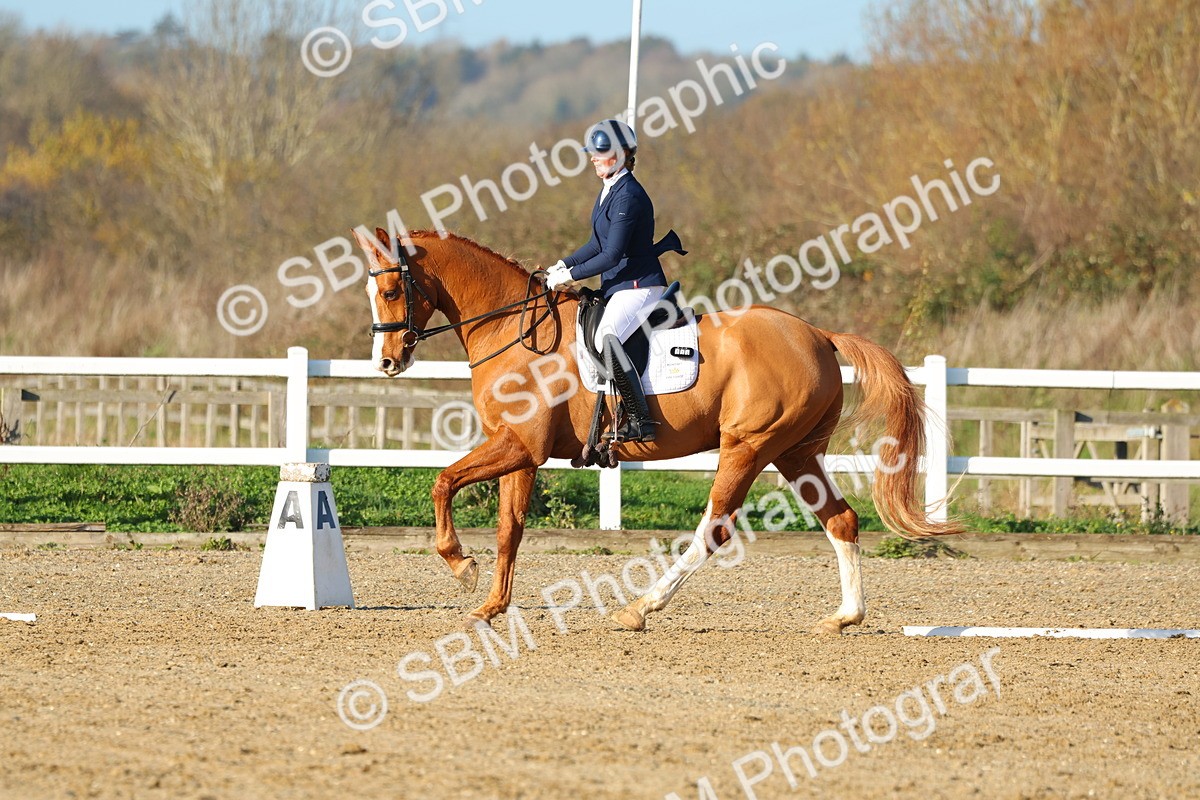 1I0A4990 - Class 5 - Novice 5