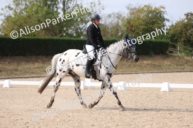 20250819-1572 - Class 5 - Novice 3