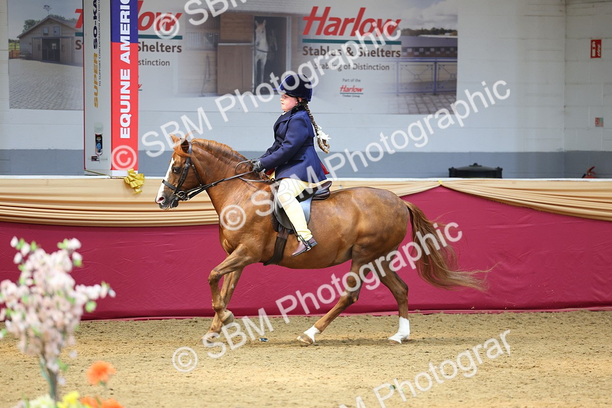 SBM_23785 - Class 904 - Supreme Final Ridden Diamond