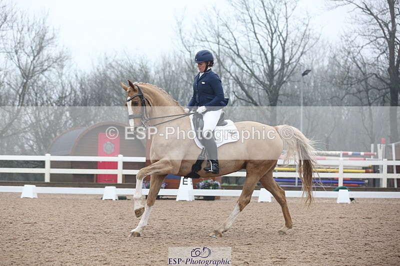 240217A-123526-02919 - 274-Clare.Smith-Dori.Dragon.Fly