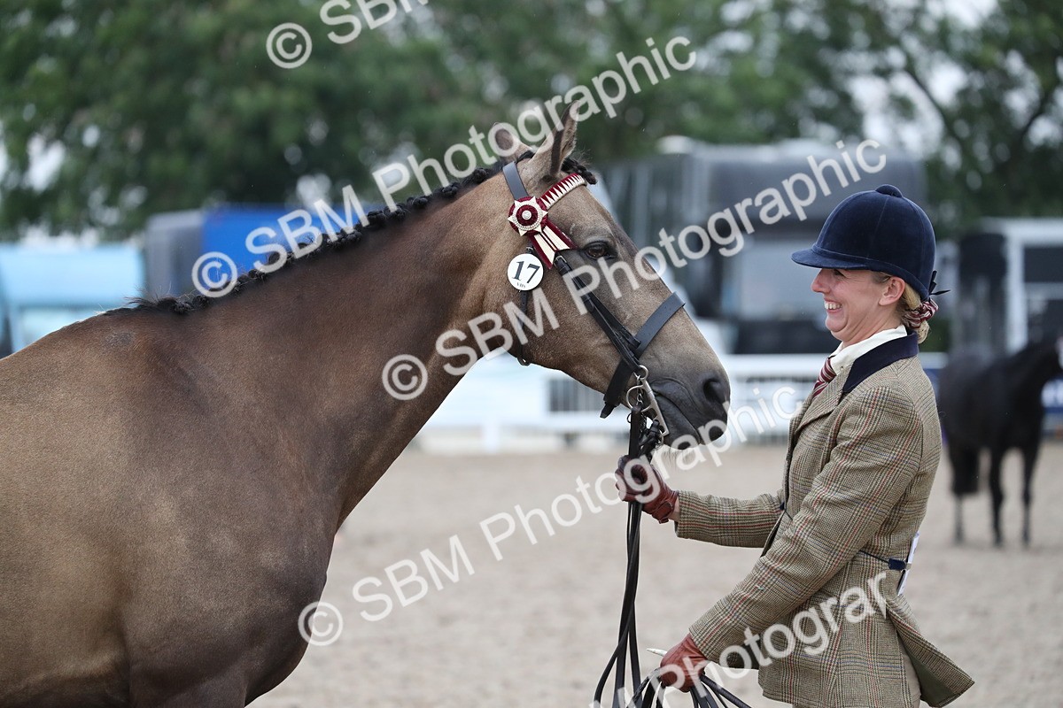 SBM_18403 - Class 318 IH Part bred Horse/Pony