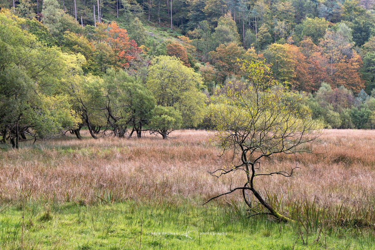 Creep - Yew Tree Tarn, Lake District - Wider view