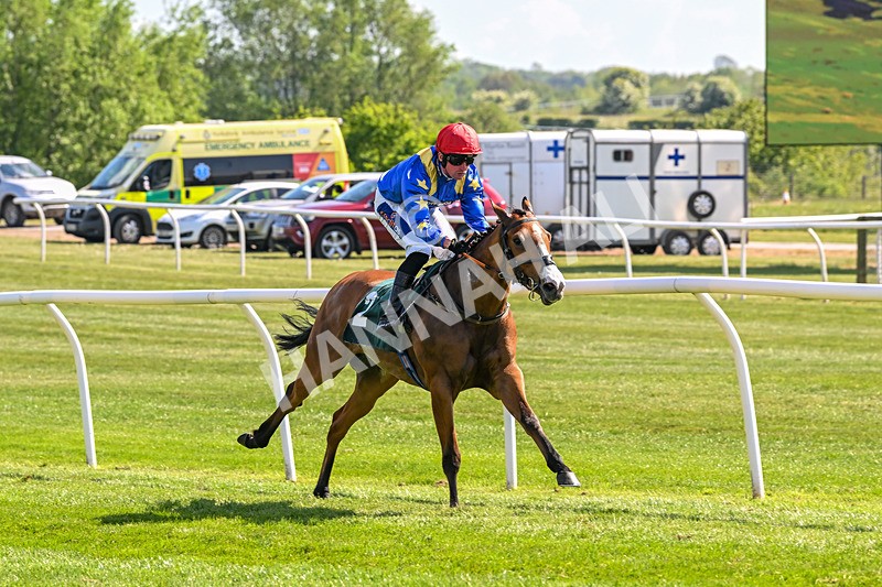 120525-Race 4-Tees Aggregates-8663 - Race 4