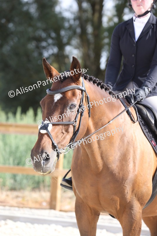 20260802-0187 - Class 5 - ROR Ridden