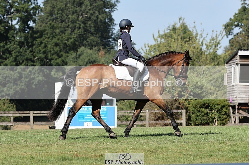 250823A-105234-27826 - Arena D