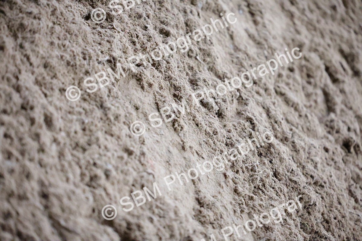 SBM_003997 - Class 10 - National B&C Handicap Championship Qualifier