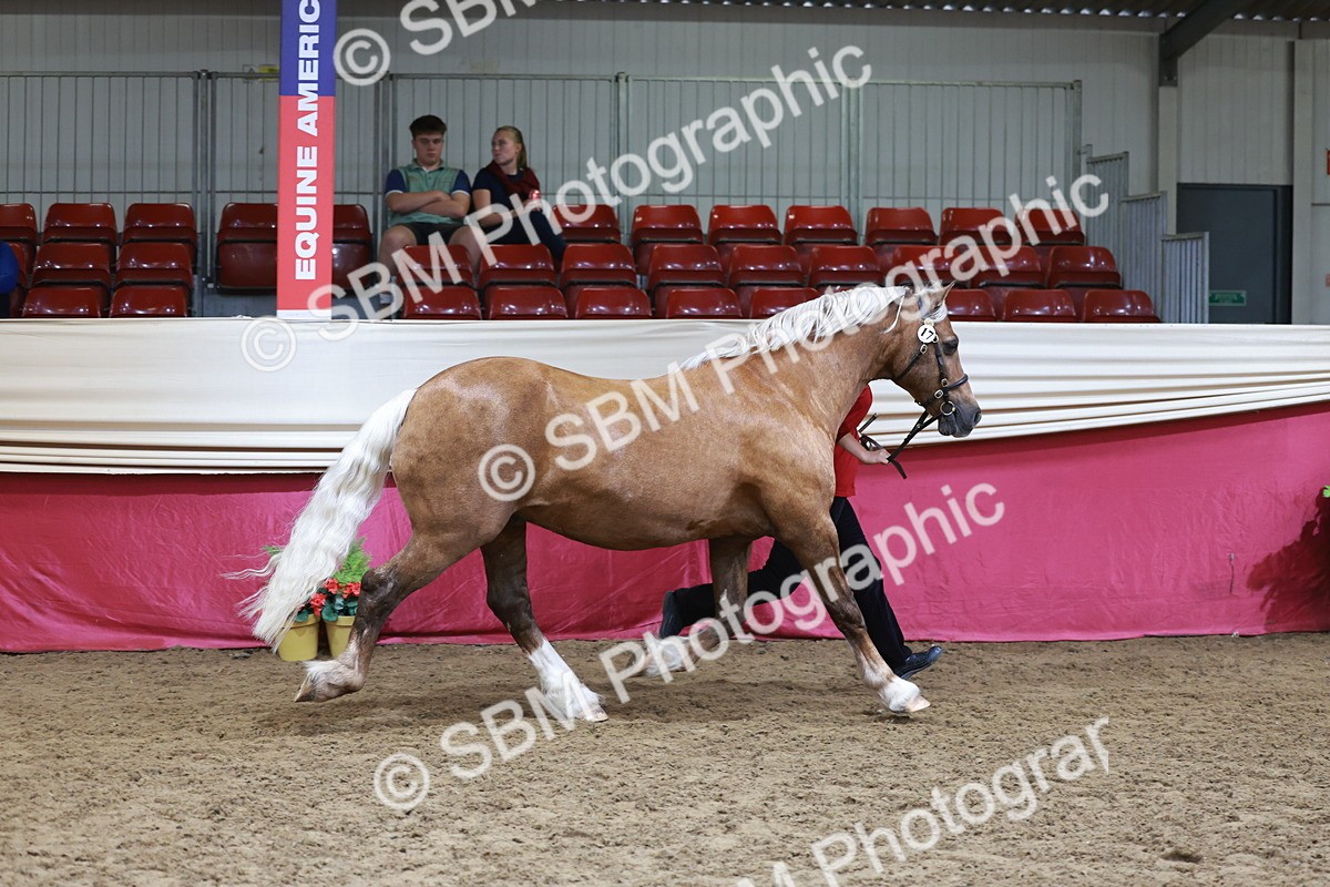 SBM_17448 - Class 951 - M&M IH Supreme Final