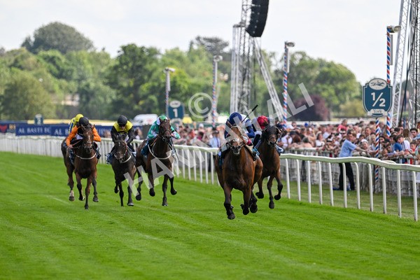 280625-Race 5-Turquino-0754 - Race 5 4.15pm Al Basti Equiworld Dubai Handicap