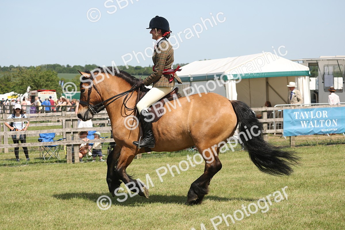 SBM_07697 - Class 26-30 - Mountain and Moorland Ridden