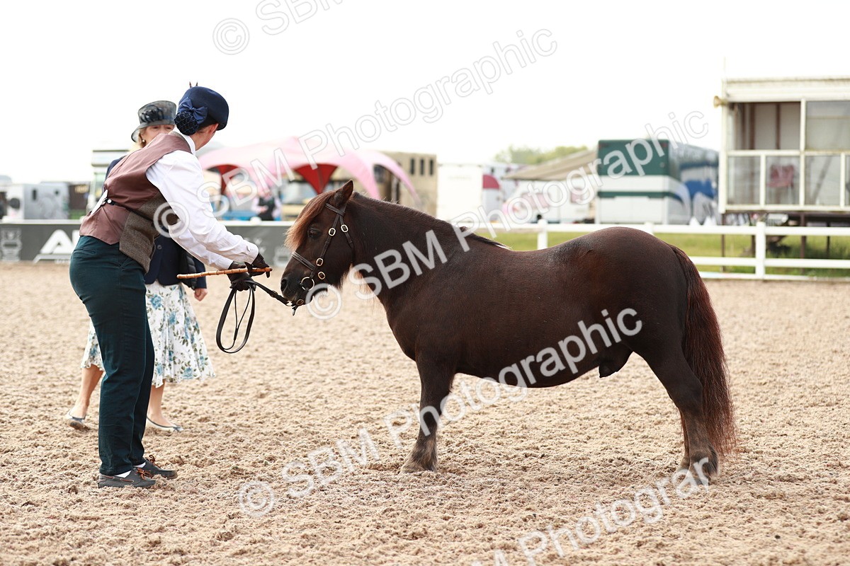SBM_09525 - Class 201 Best Turned Out IH