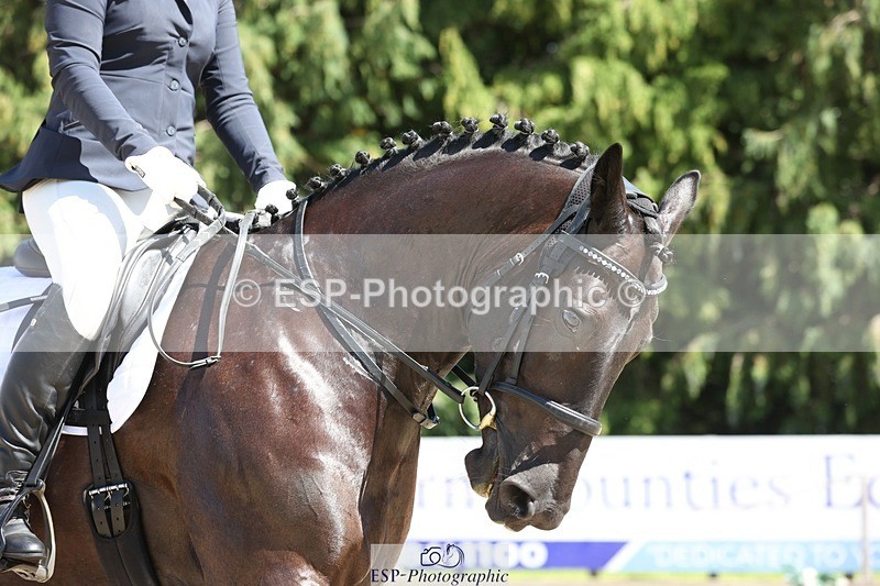 230811-140303-01952 - Cls 1 Prelim Bronze 13.30 to 14.50 break