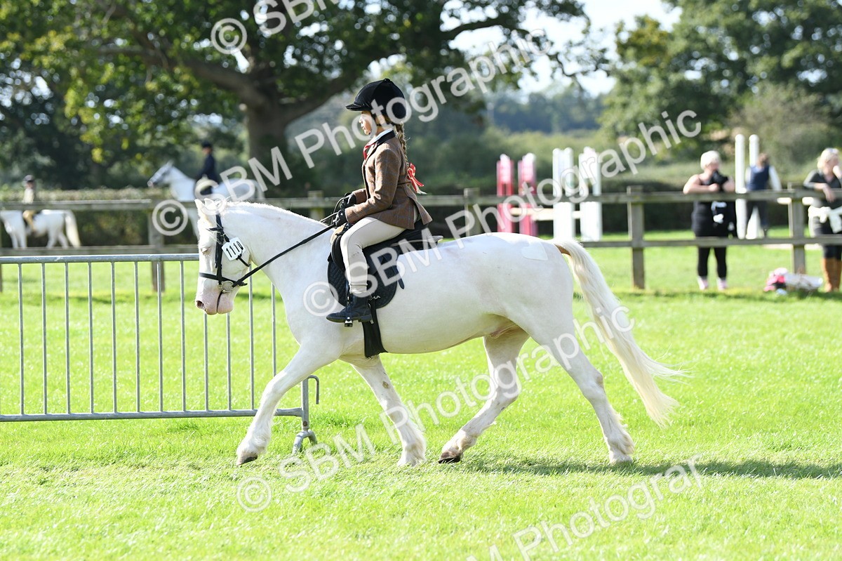 SBM_50295 - S21 - Novice & Newcomers 1st Ridden Pony
