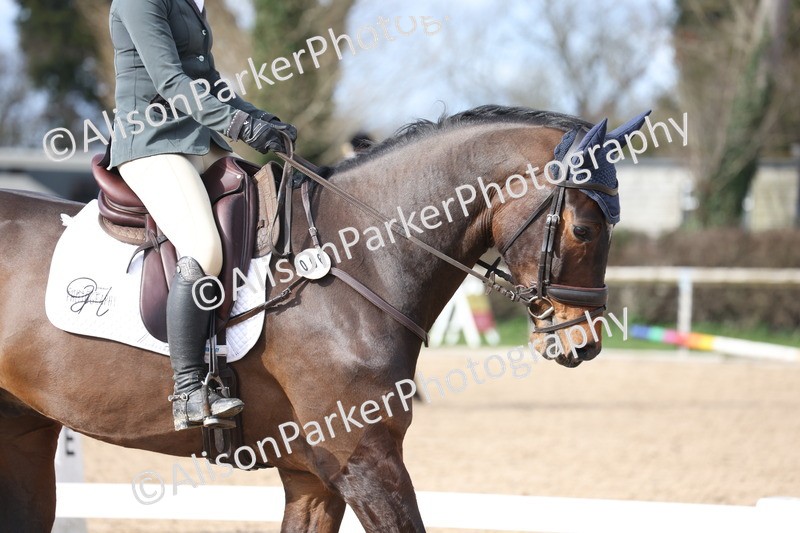 20260228-0733 - Class 5 - Novice 2