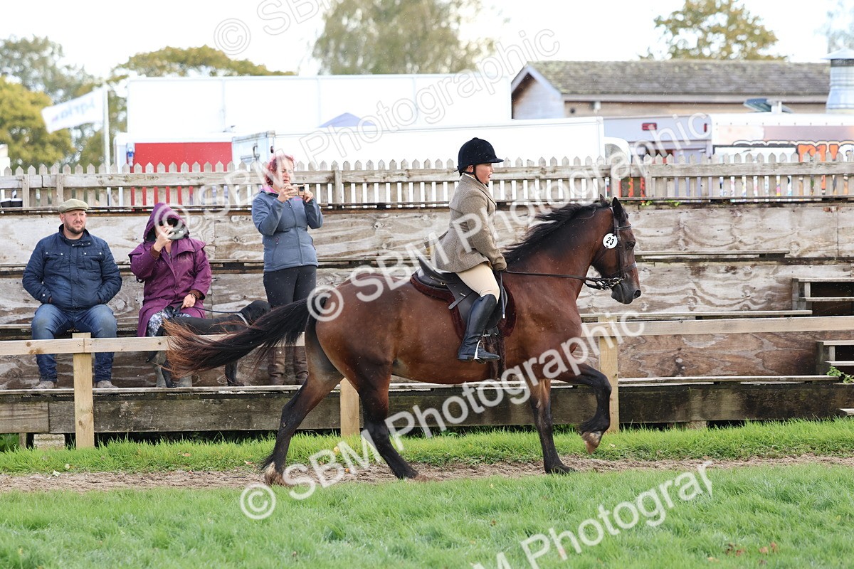 SBM_47667 - S28 - Veteran Ridden