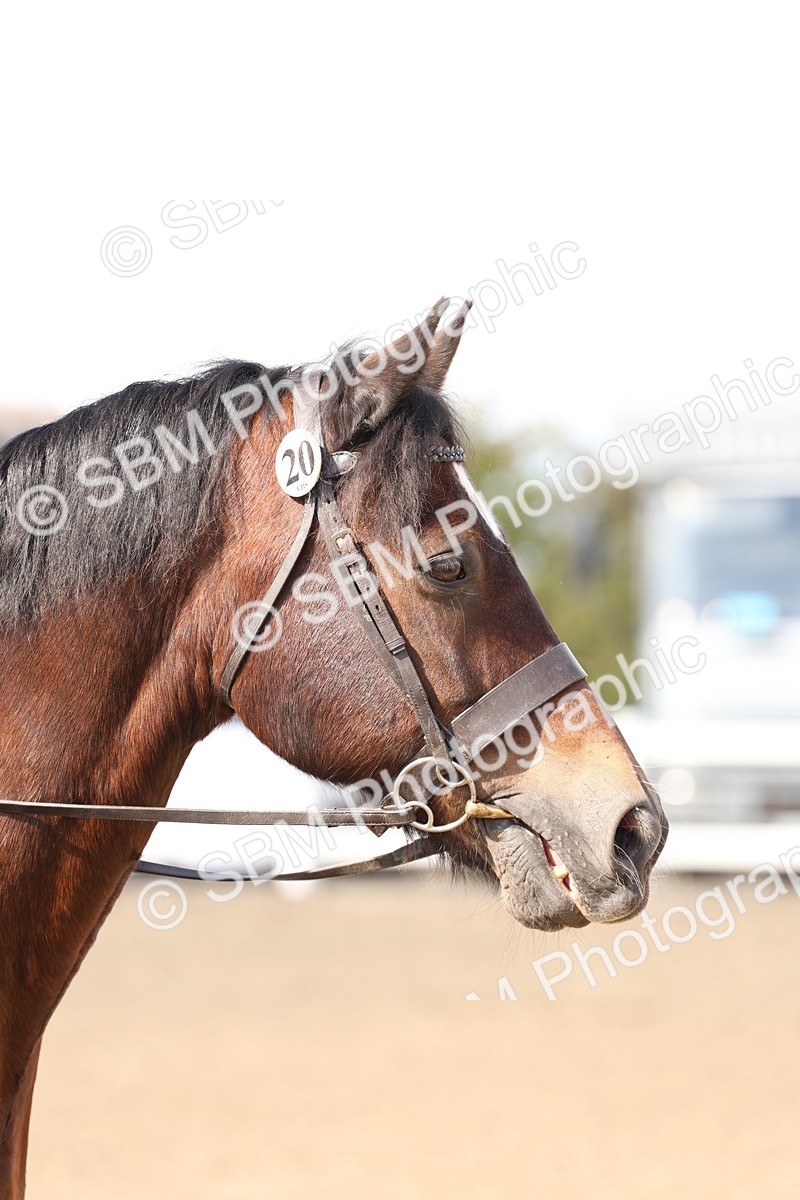 SBM_07393 - Class 58b -  Style & Performance - 70cm (20+)