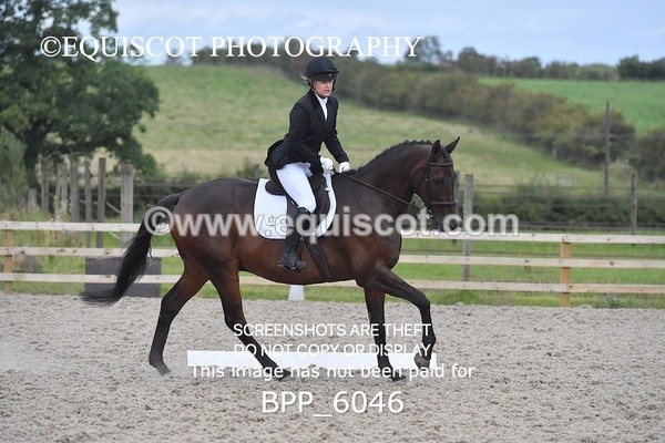 BPP_6046 - NOVICE TEST 4 + 6 LONG ARENA