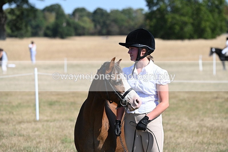 WJ6_7578 - Class 34 Judges Choice