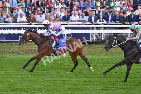 yr20082022r3-25 - Race 3 3.00pm Sky Bet City of York Stakes