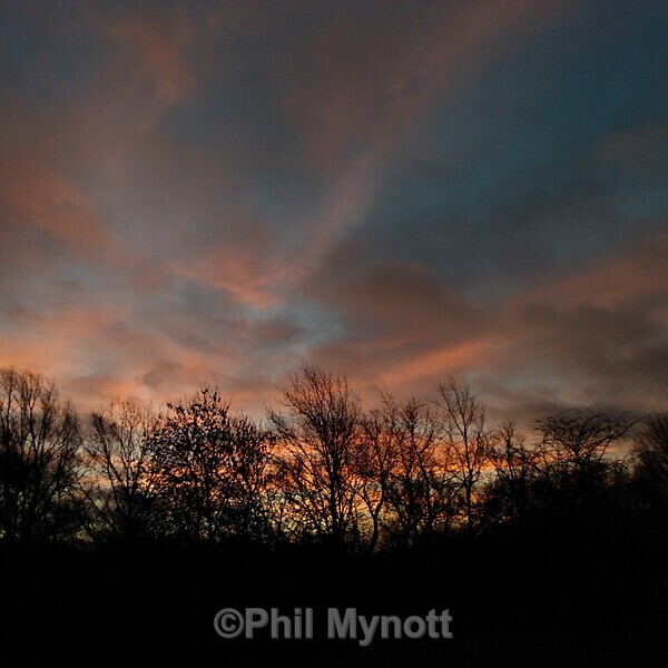 PhotoMynottART063 - Photo Mynott ART Images