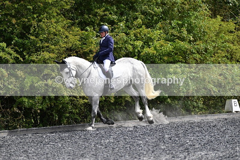 WJ5_2234 - Time 15:05 to 15:30