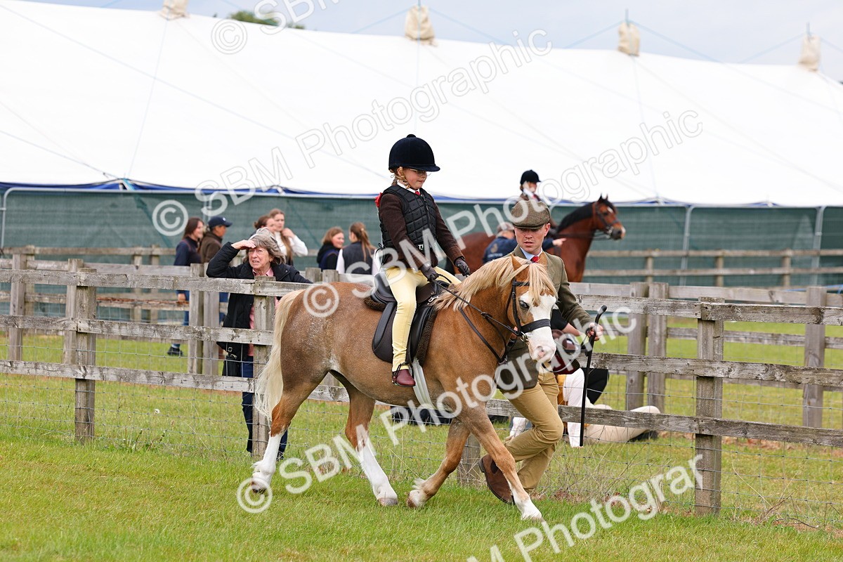 SBM_08099 - Class 42-43 - LIHS BSPS Heritage Working Sports Pony