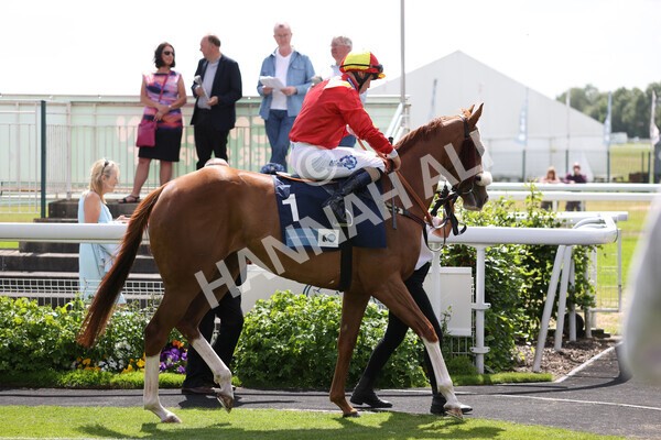 yr10062022r3-10 - Race 3 3.00pm British EBF supporting Racing with Pride Fillies' Handicap