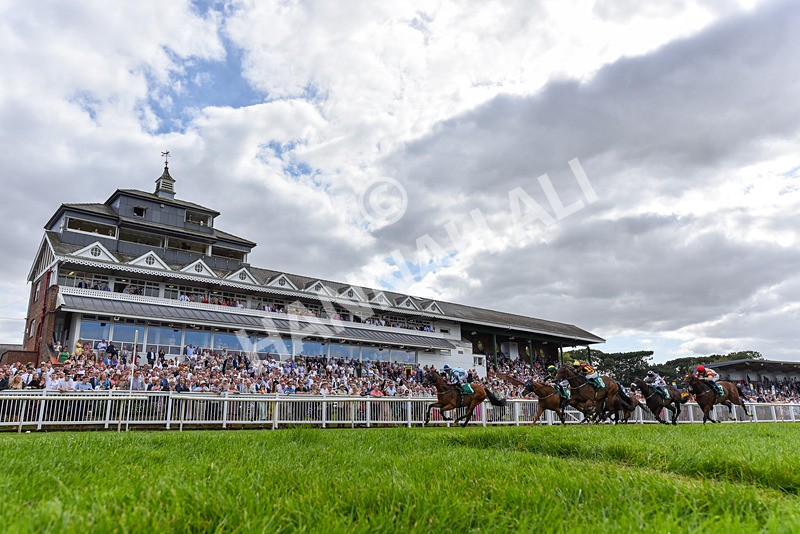 030824-Race 3-Alligator Alley-2441 - Race 3