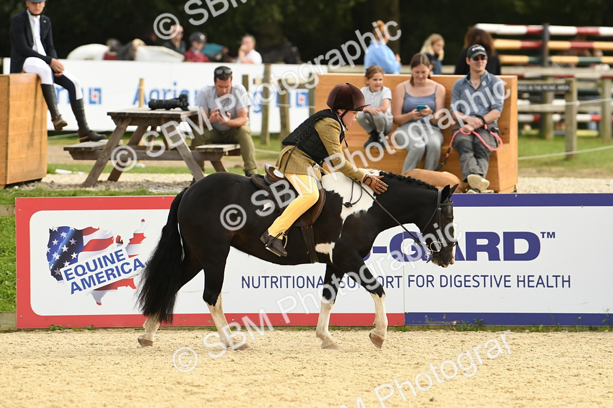SBM_71134 - J15 - Junior Pony 70cm Championship