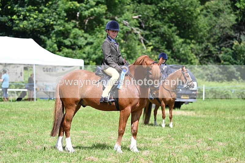 WJ7_1797 - Class 9 Pony Club Pony