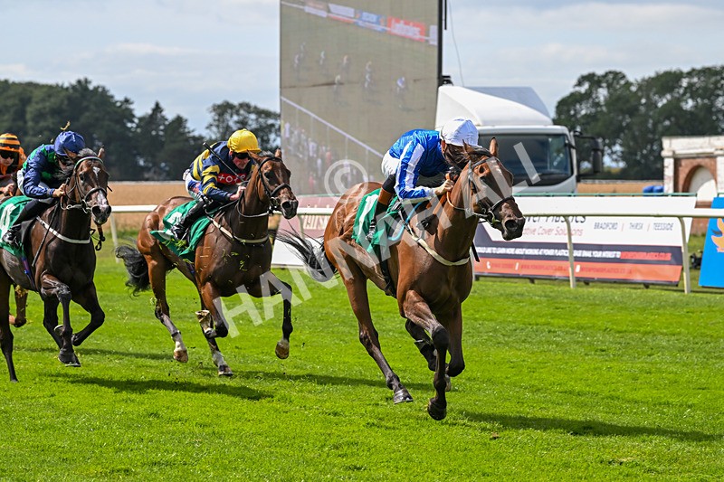 080825-Race 2-Daneh Of Dandy-1999 - Race 2