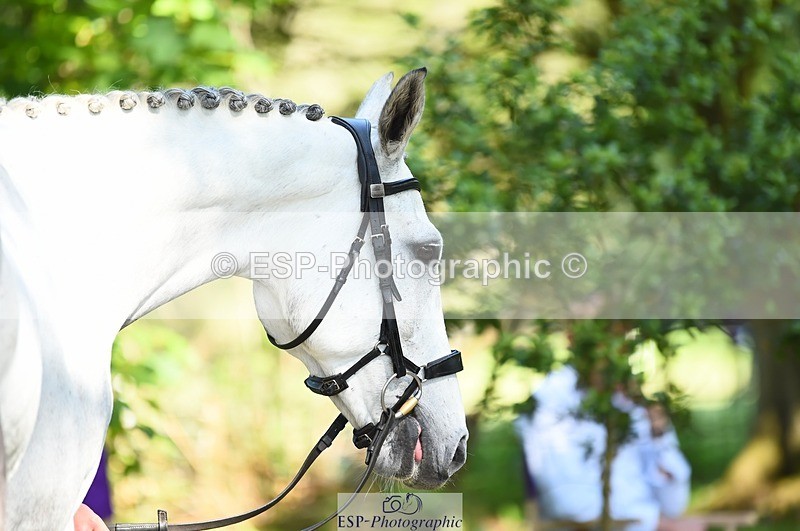 230524-161458-00793 - 259-KATE_BLUE-Millie_Juleff-WEDTrotUp+DR