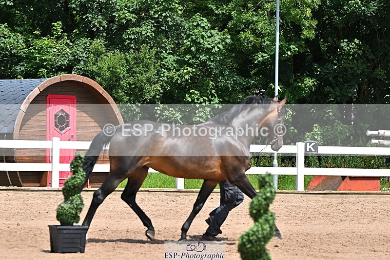 240718A-105258-01385 - Trot Up 12pm to 1pm