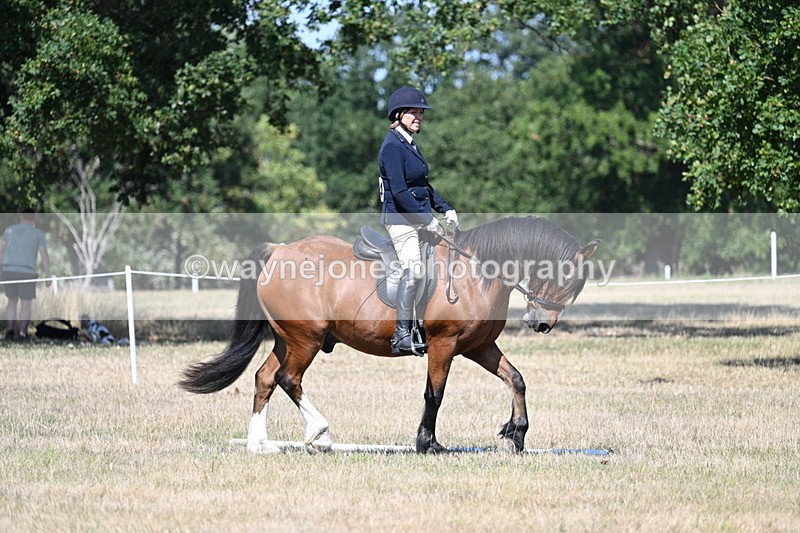 WJ7_0771 - Time 12:03 to 12:23