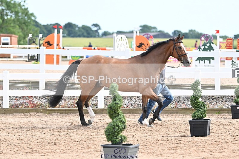 240717A-165510-03542 - Trot Up 4pm to 5pm